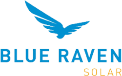 Blue Raven Logo